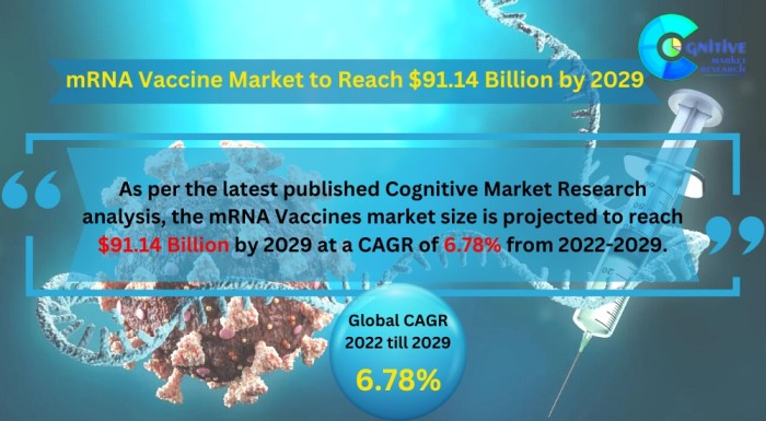 mRNA Vaccine Market to Reach $91.14 Billion by 2029 By Cognitive Market Research