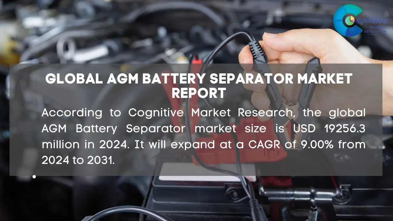 AGM Battery Separator Market Report