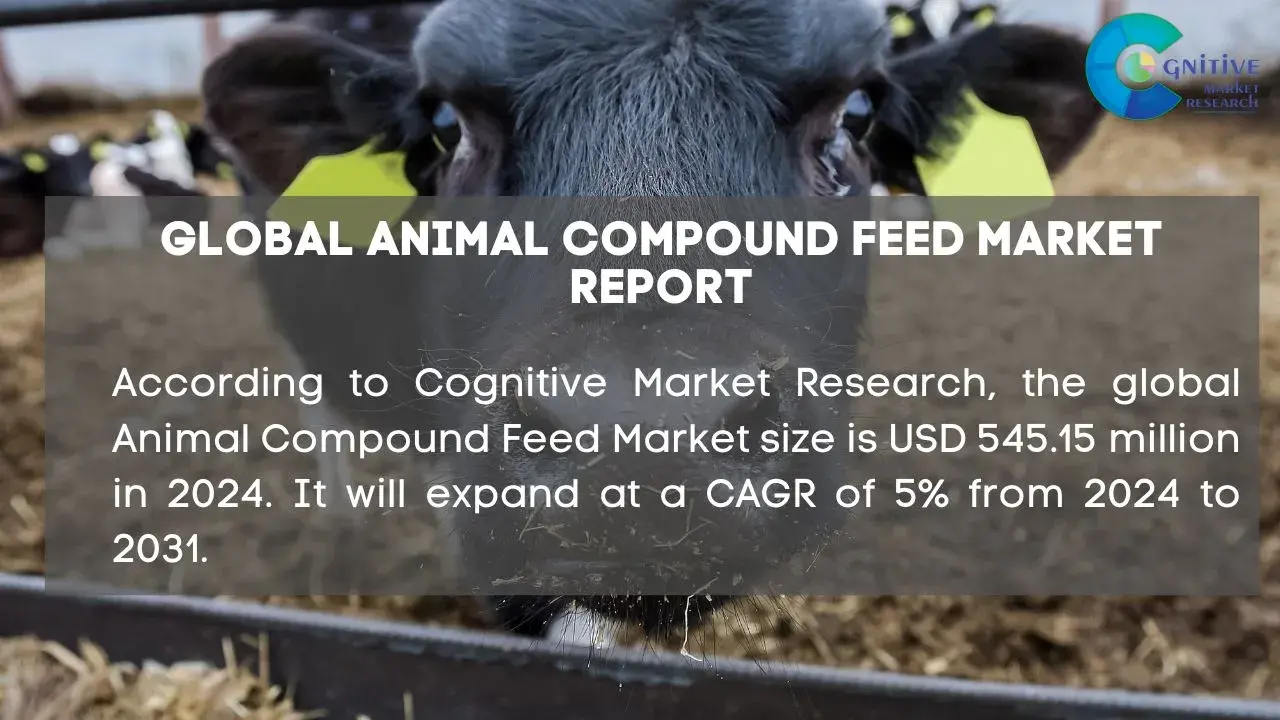 Animal Compound Feed Market Report