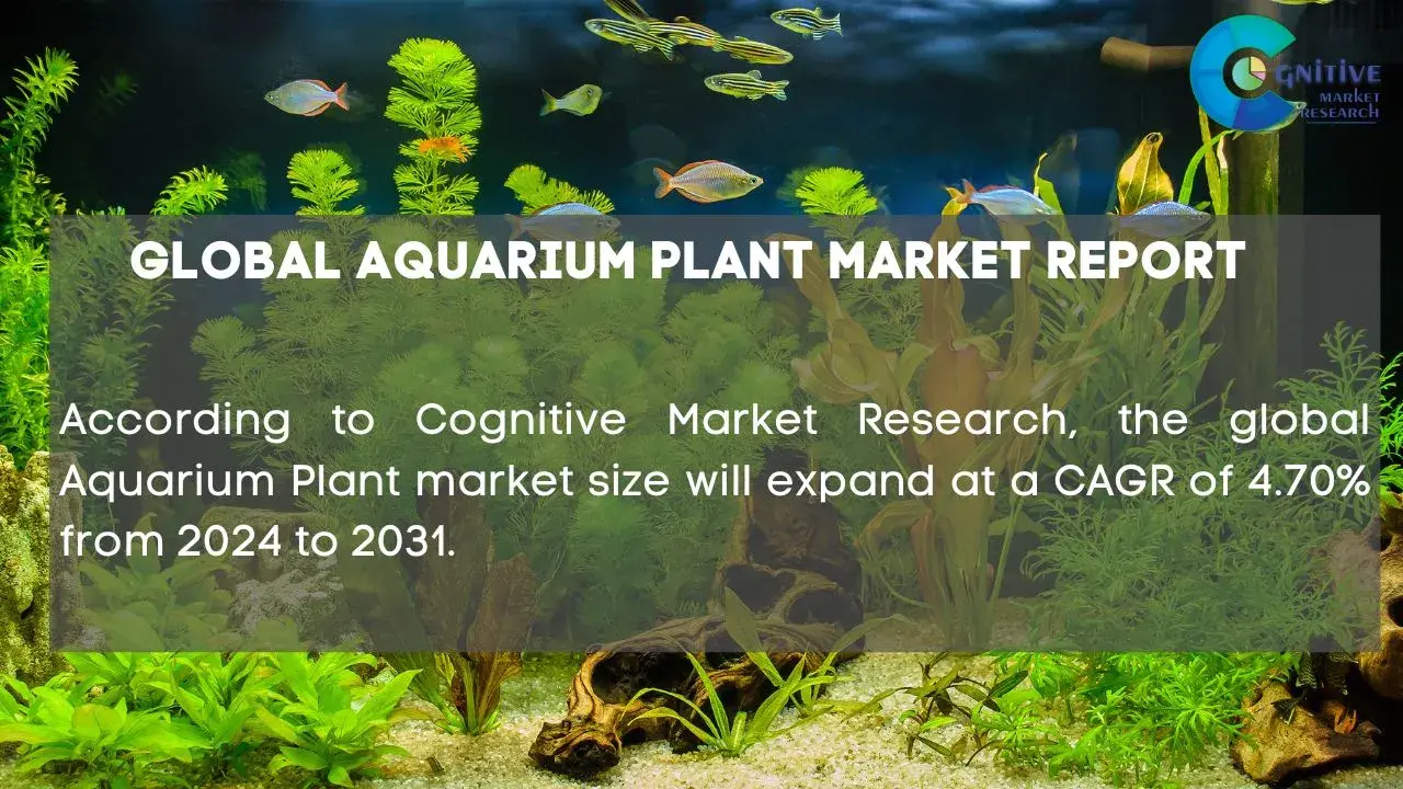 Aquarium Plant Market Report