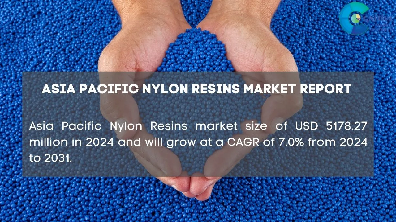 Asia Pacific Nylon Resins Market Report