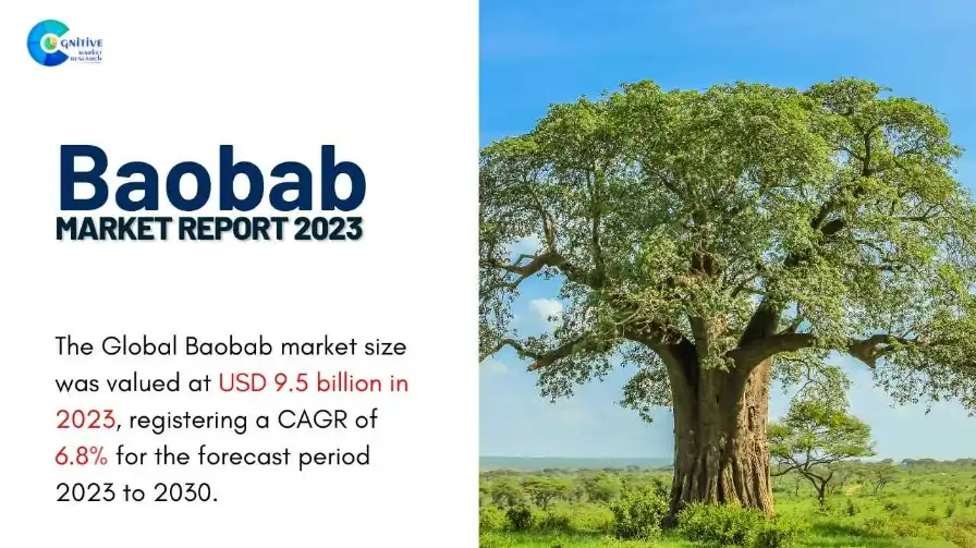 Baobab Market Report