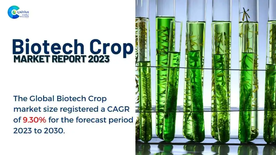 Biotech Crop Market Report