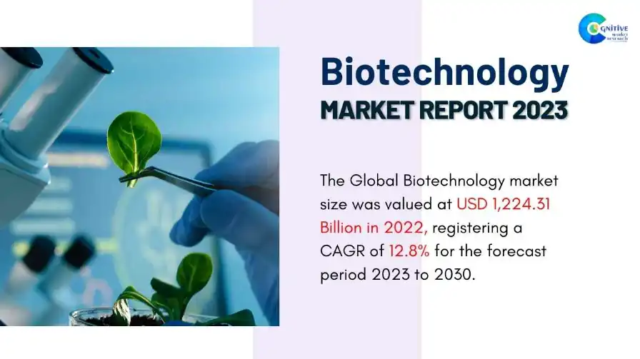 Biotechnology Market Report