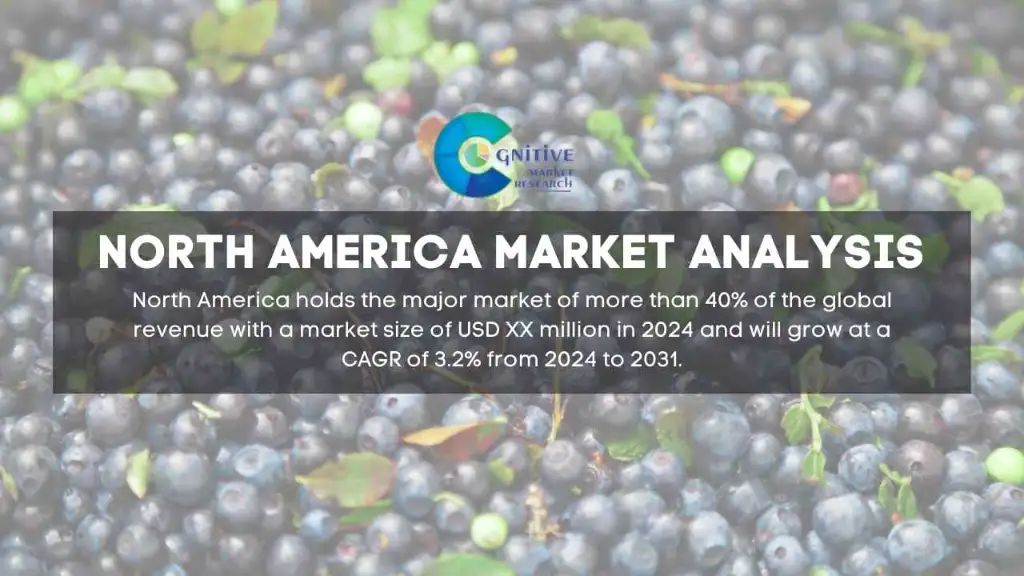 North America Blueberry Flavor Market Report
