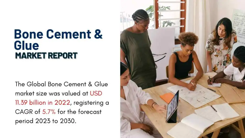 Bone Cement & Glue Market Report