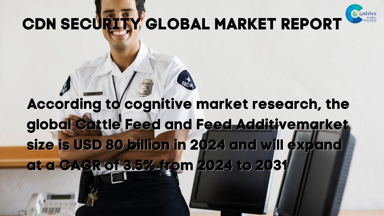 CDN Security Market Report