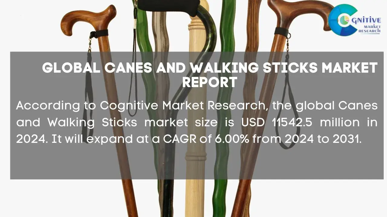 Canes and Walking Sticks Market Report