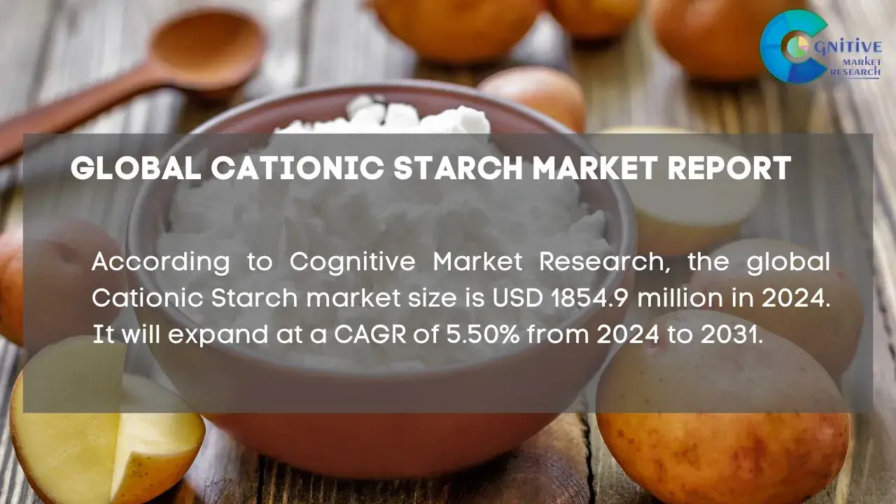 Cationic Starch Market Report