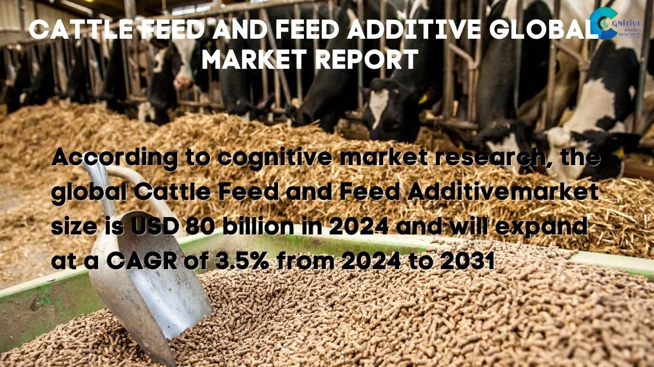 Cattle Feed and Feed Additive Market Report