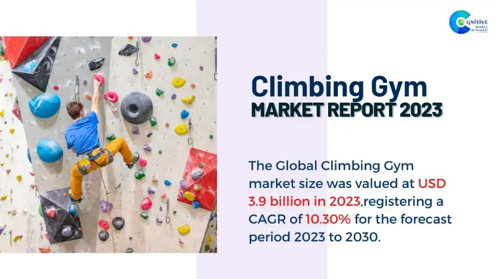 Climbing Gym Market Report