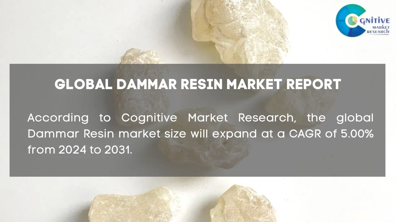 Dammar Resin Market Report