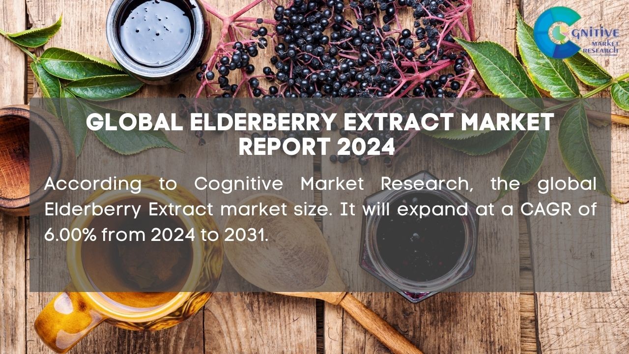 Elderberry Extract Market Report