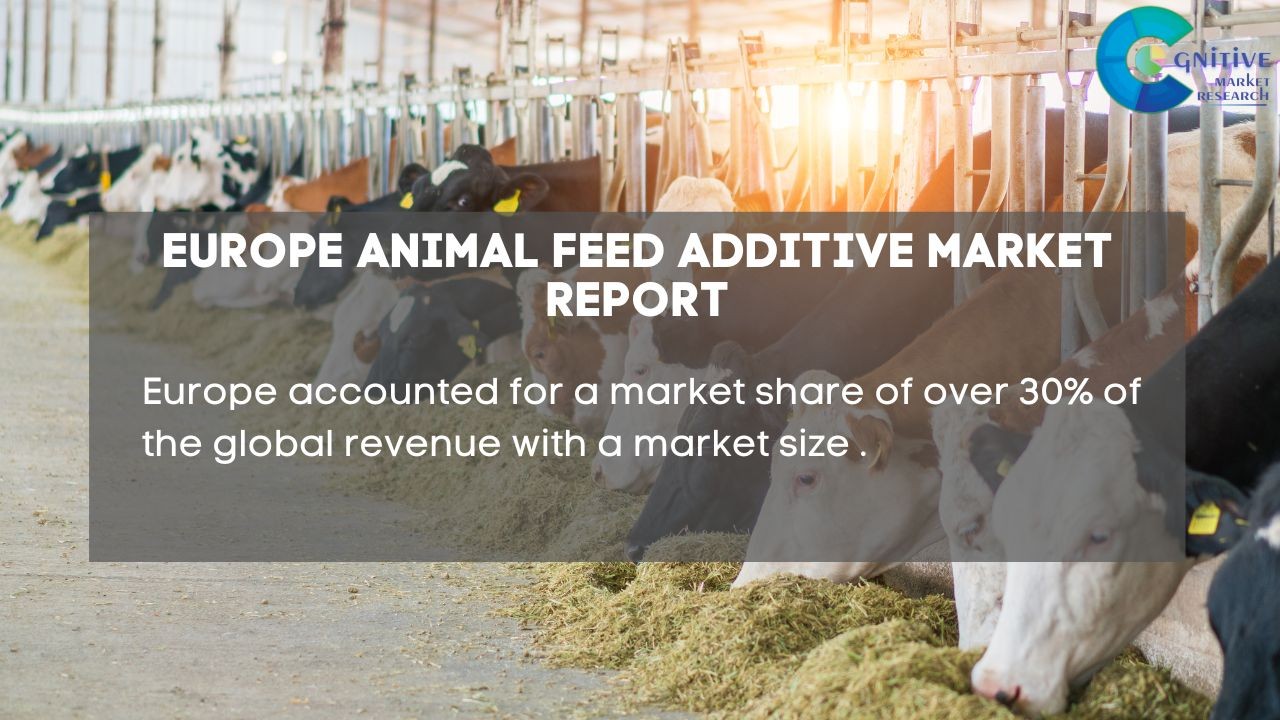 Europe Animal Feed Additive Market Report