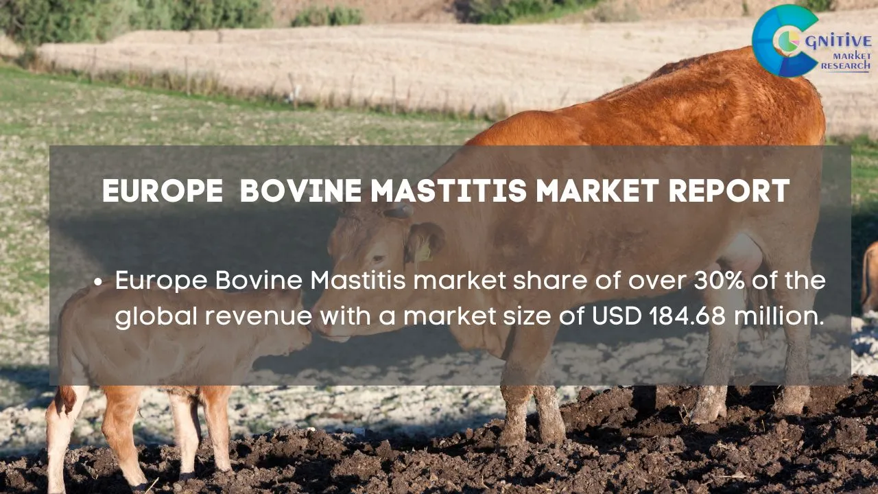 Europe Bovine Mastitis Market Report