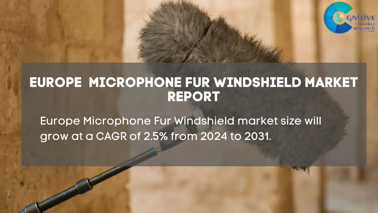 Europe Microphone Fur Windshield Market Report