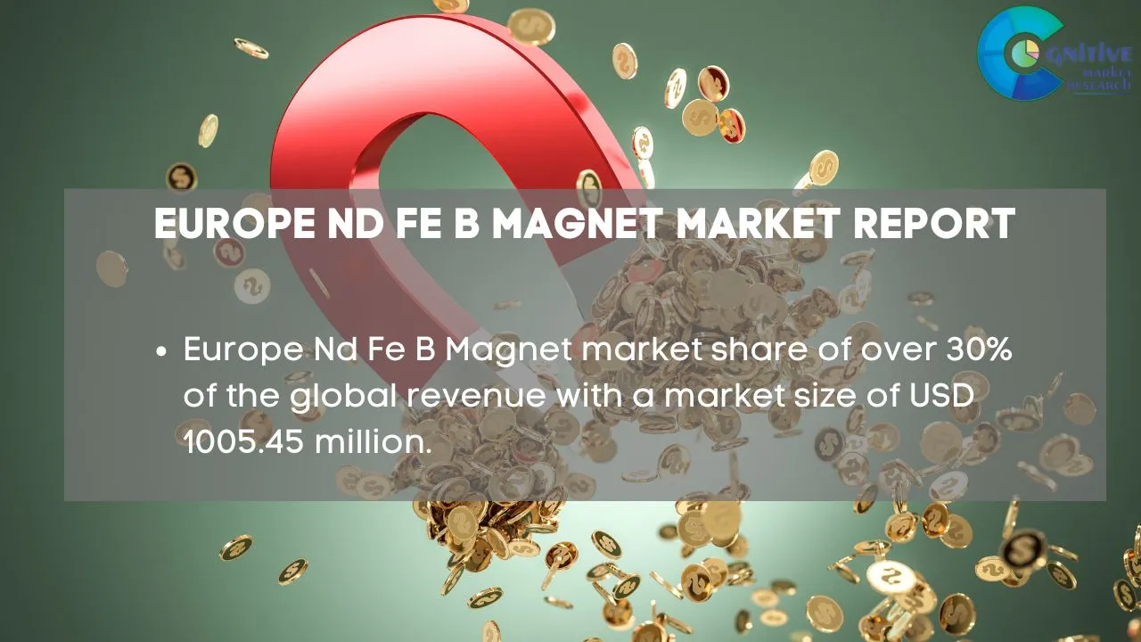 Europe Nd Fe B Magnet Market Report