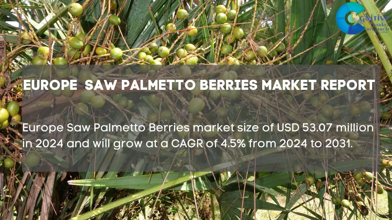 Europe Saw Palmetto Berries Market Report