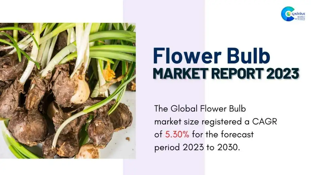 Flower Bulb Market Report