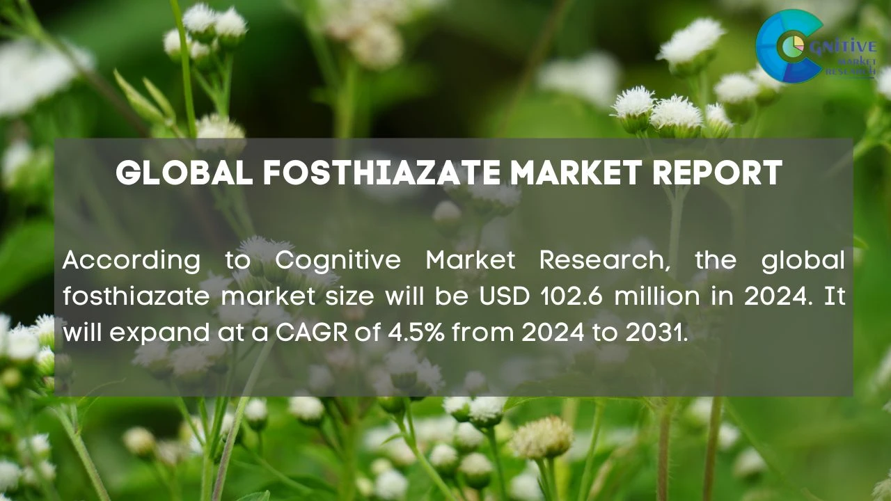 Fosthiazate Market Report