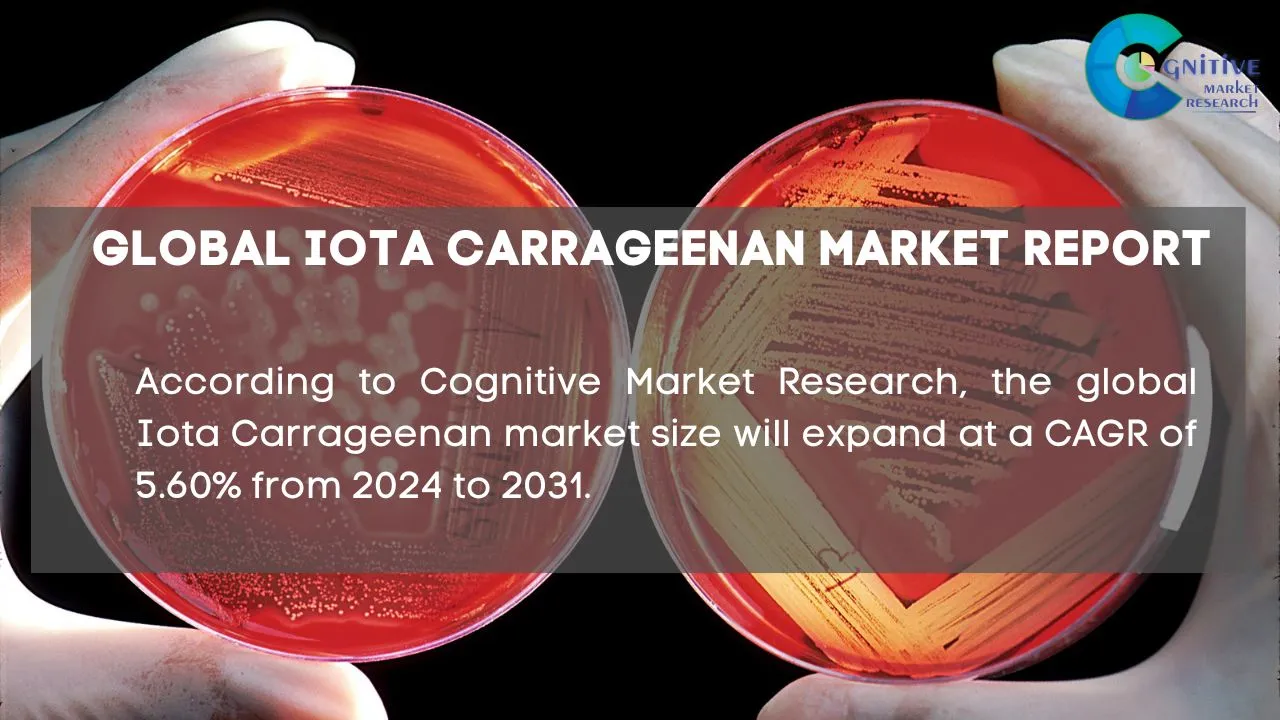 Iota Carrageenan Market Report