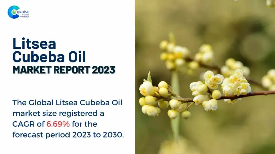 Litsea Cubeba Oil Market Report