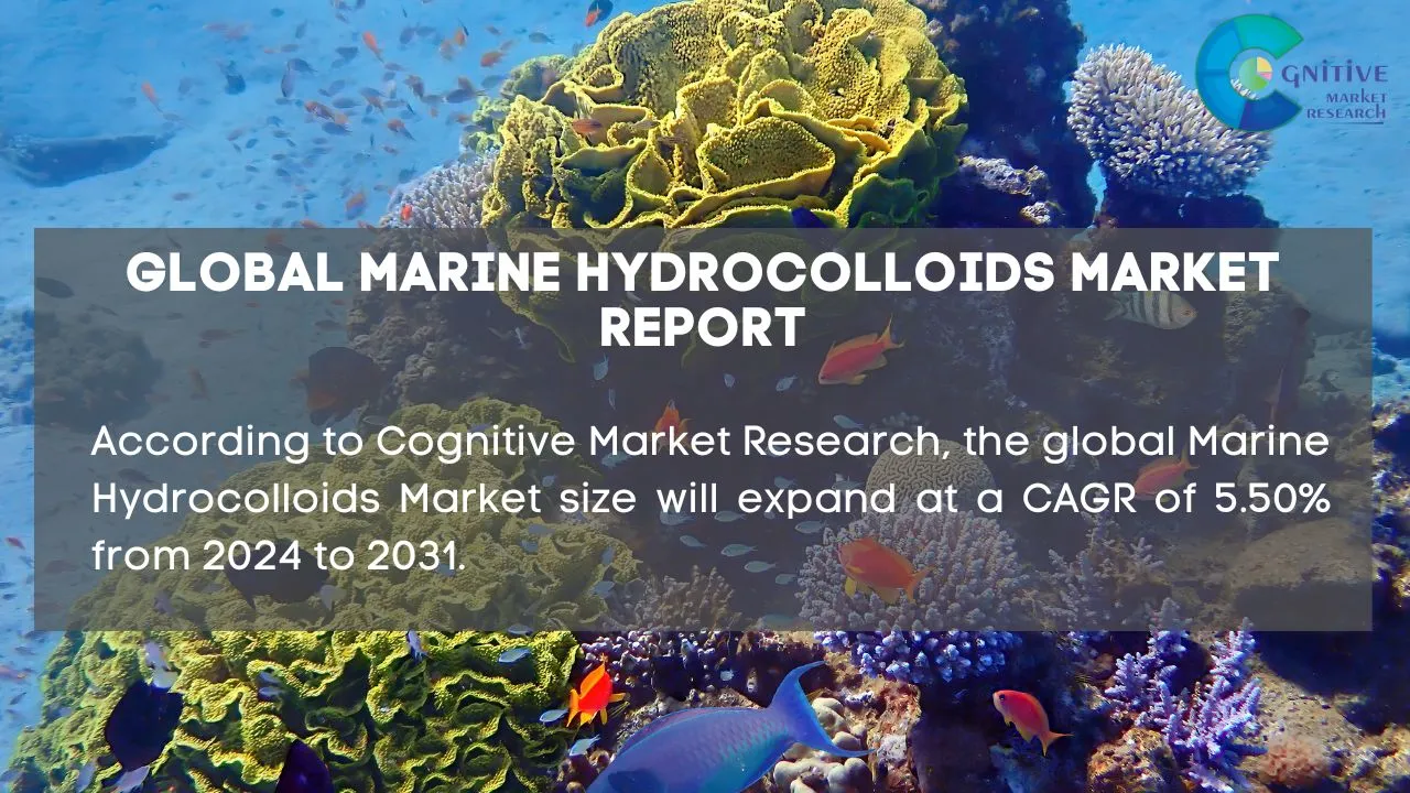 Marine Hydrocolloids Market Report