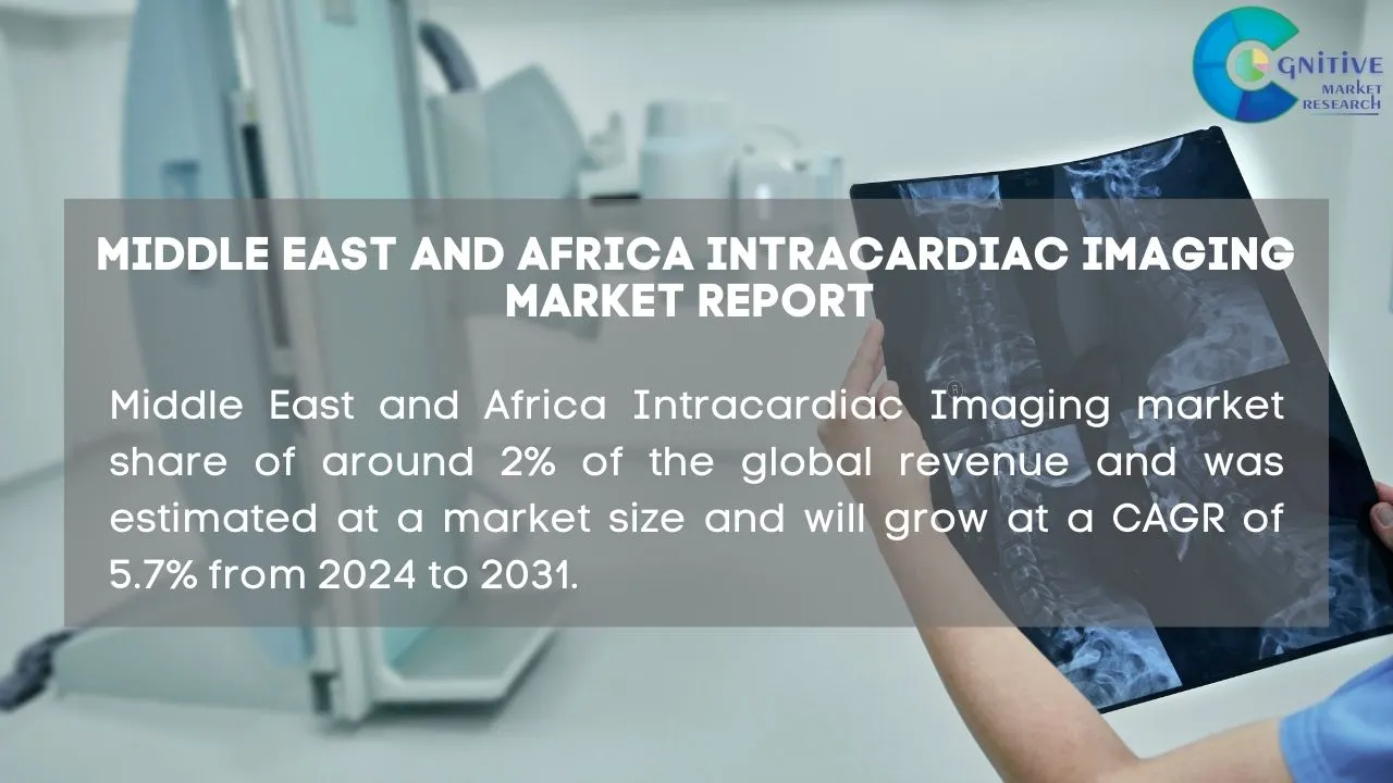 Middle East and Africa Intracardiac Imaging Market Report