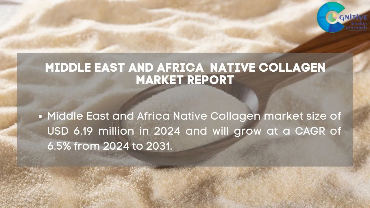 Middle East and Africa Native Collagen Market Report