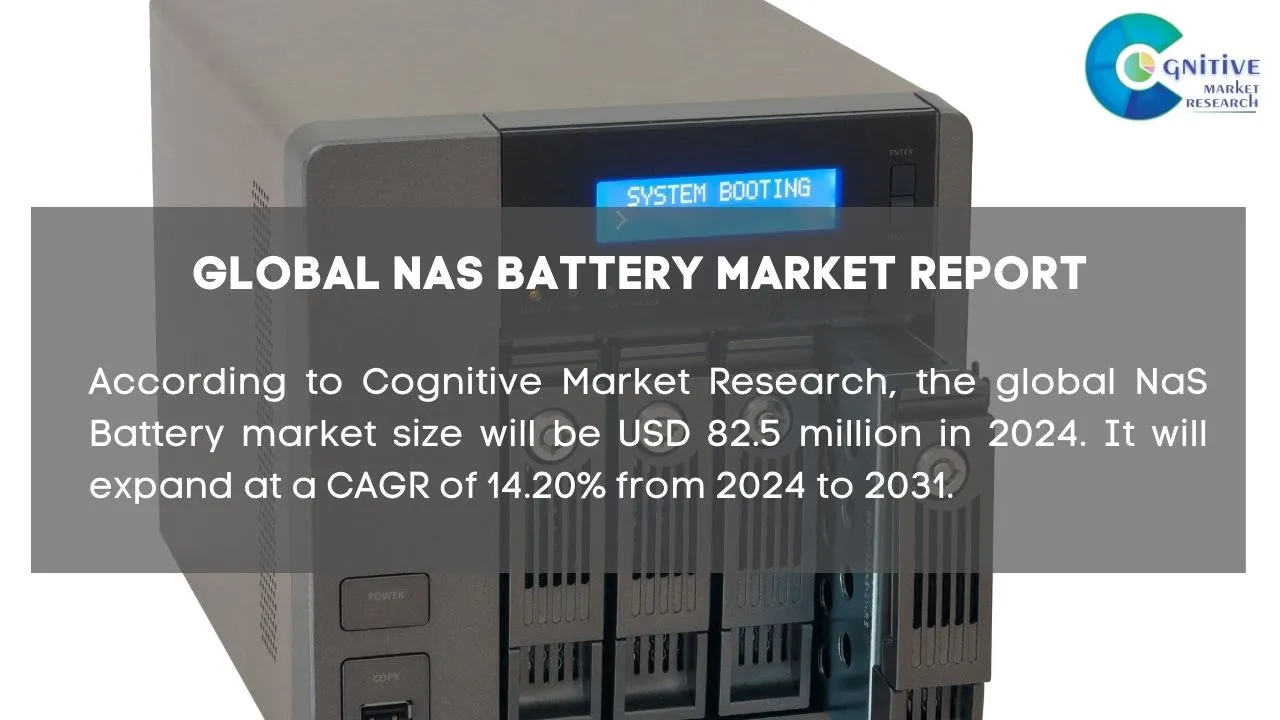 NaS Battery Market Report