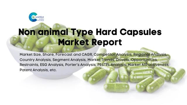 Non animal Type Hard Capsules Market Report