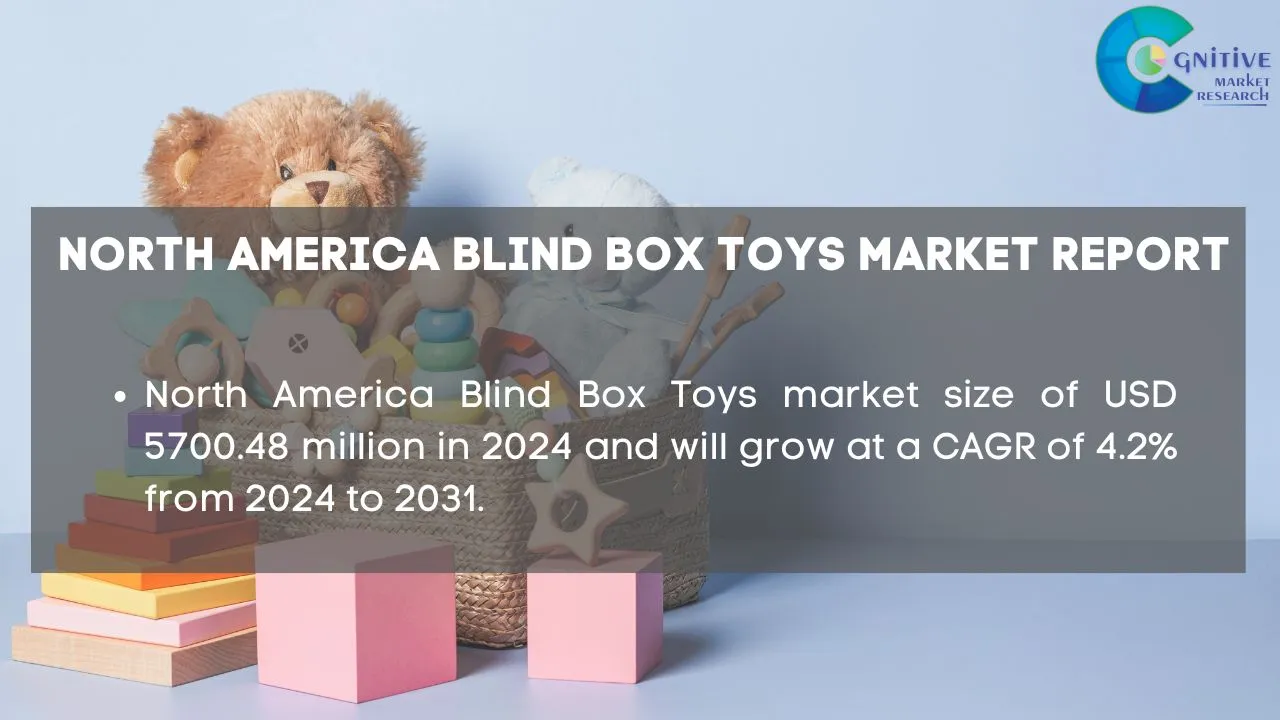 North America Blind Box Toys Market Report