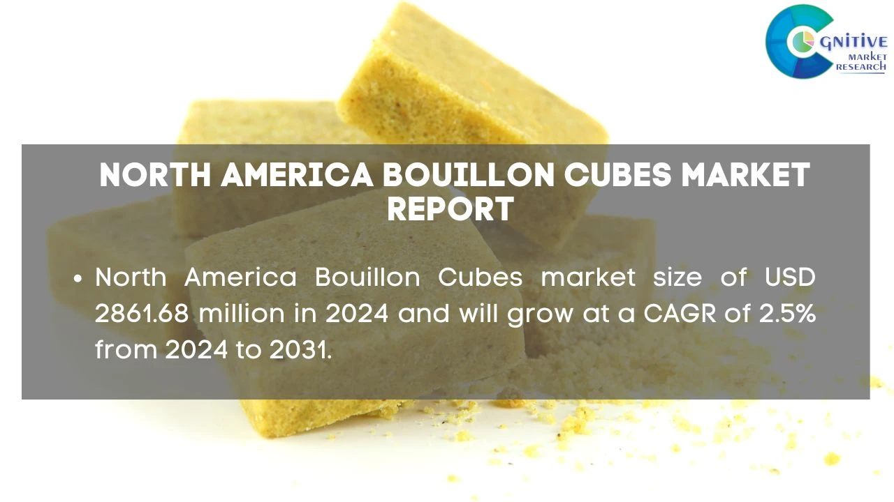 North America Bouillon Cubes Market Report