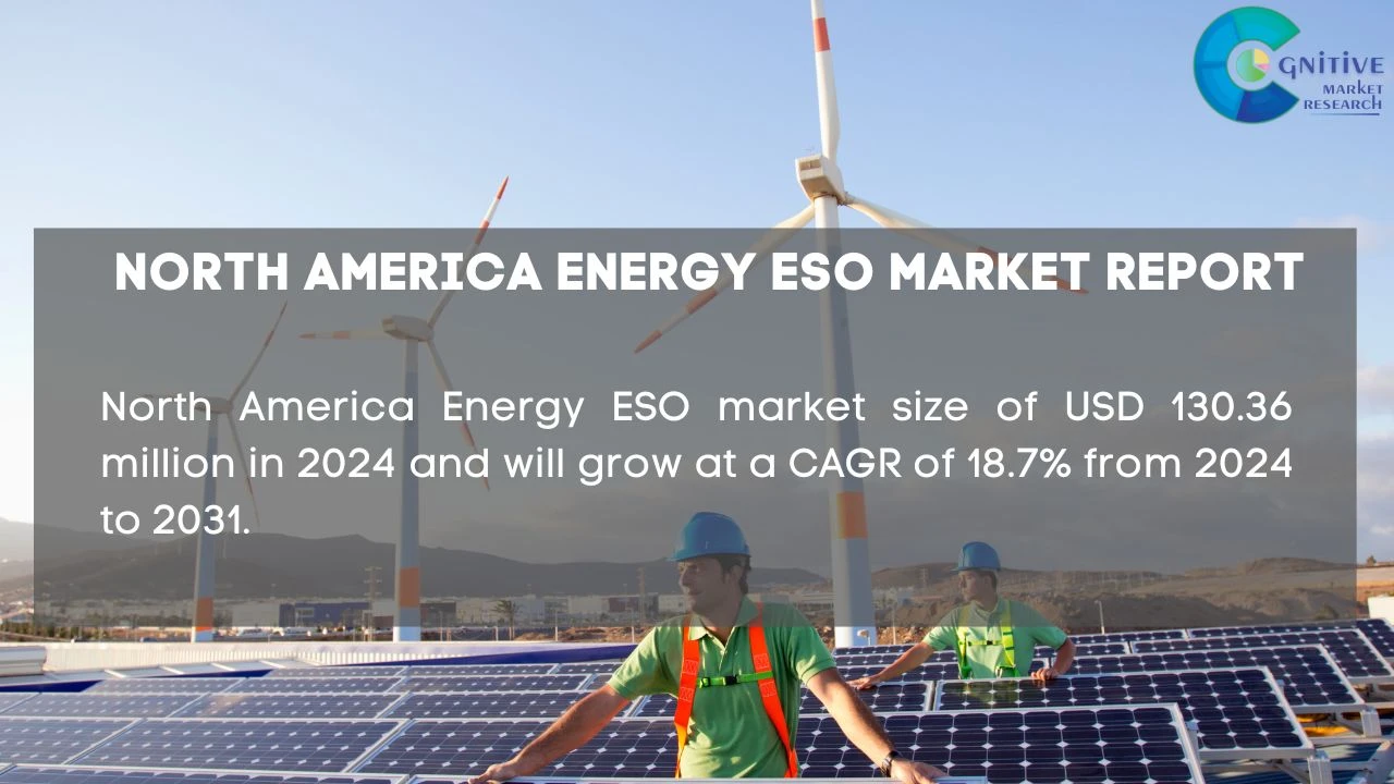 North America Energy ESO Market Report