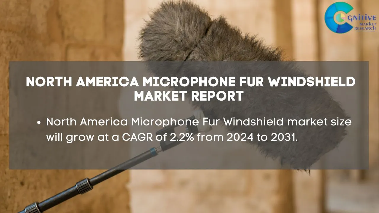 North America Microphone Fur Windshield Market Report