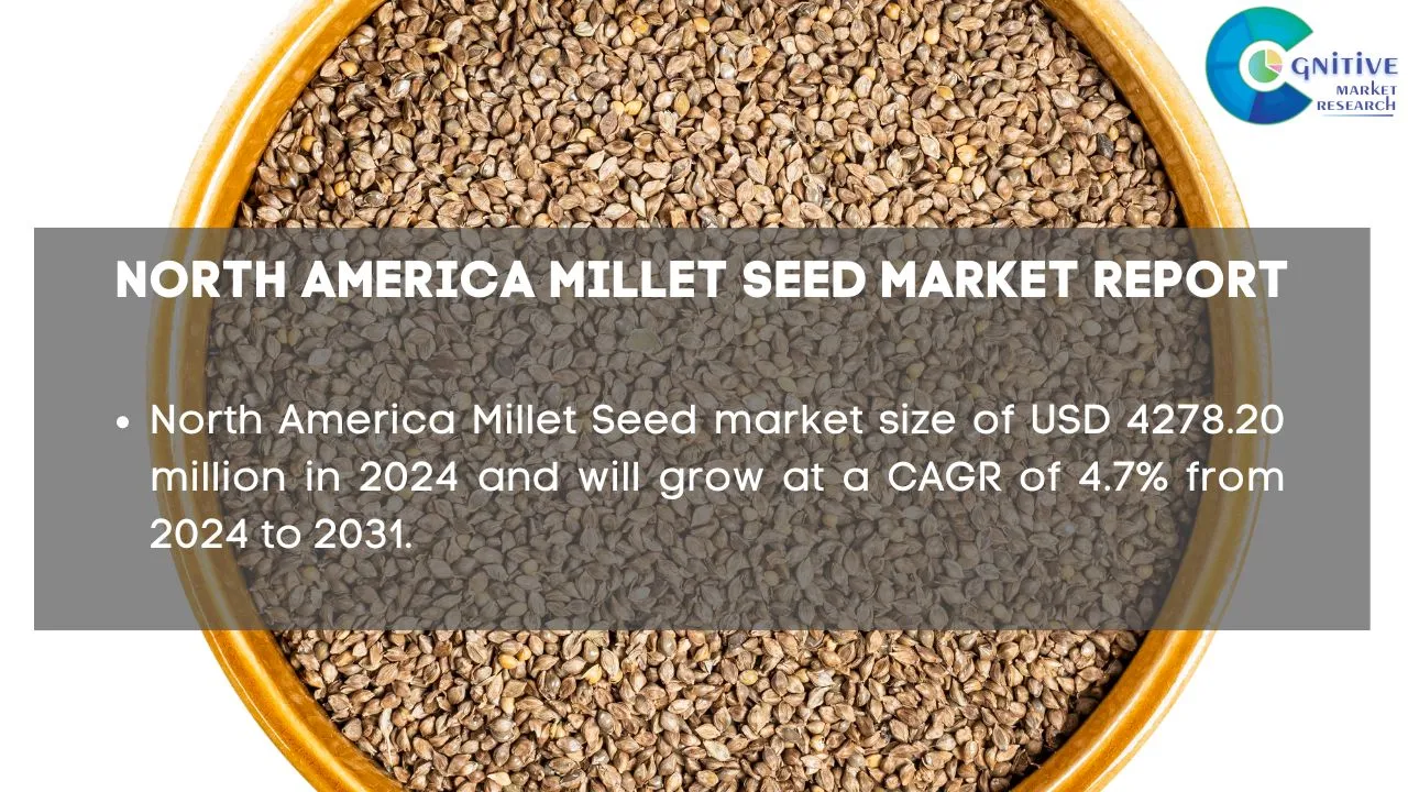 North America Millet Seed Market Report