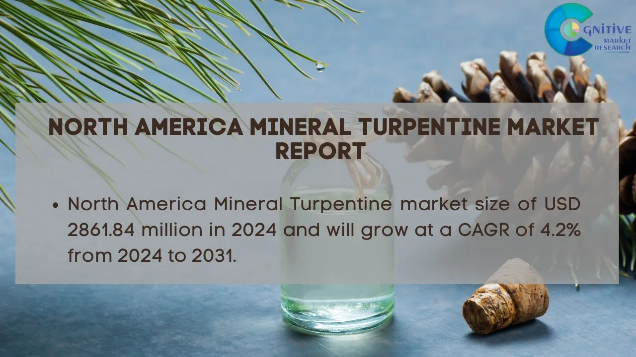 North America Mineral Turpentine Market Report