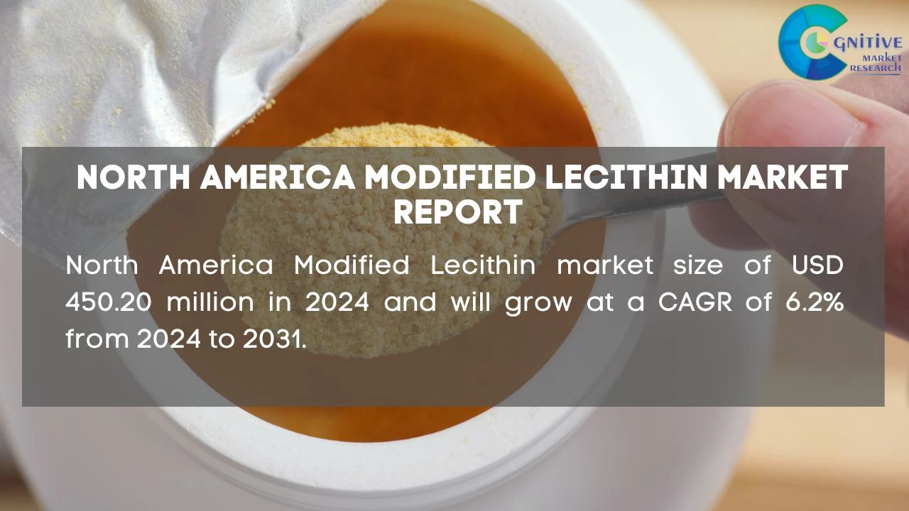 North America Modified Lecithin Market Report