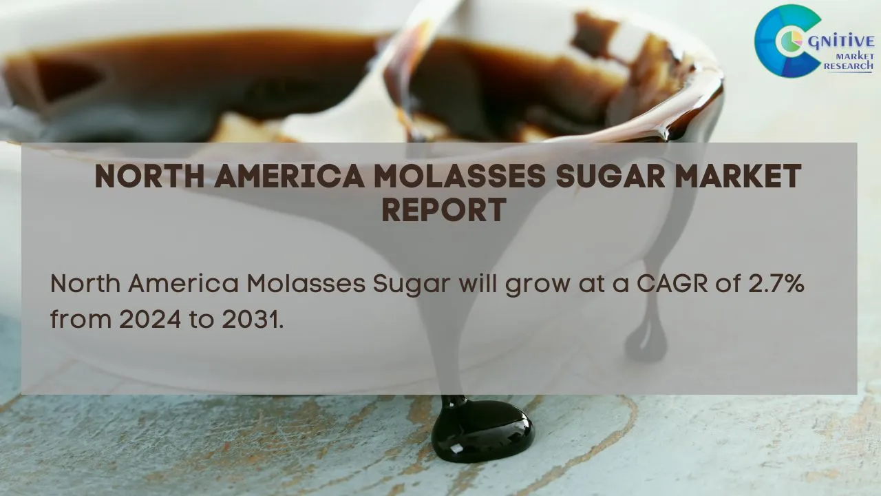 North America Molasses Sugar Market Report