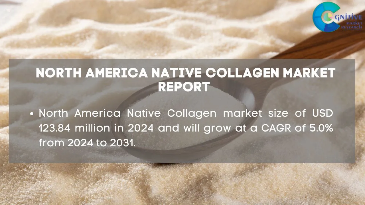 North America Native Collagen Market Report