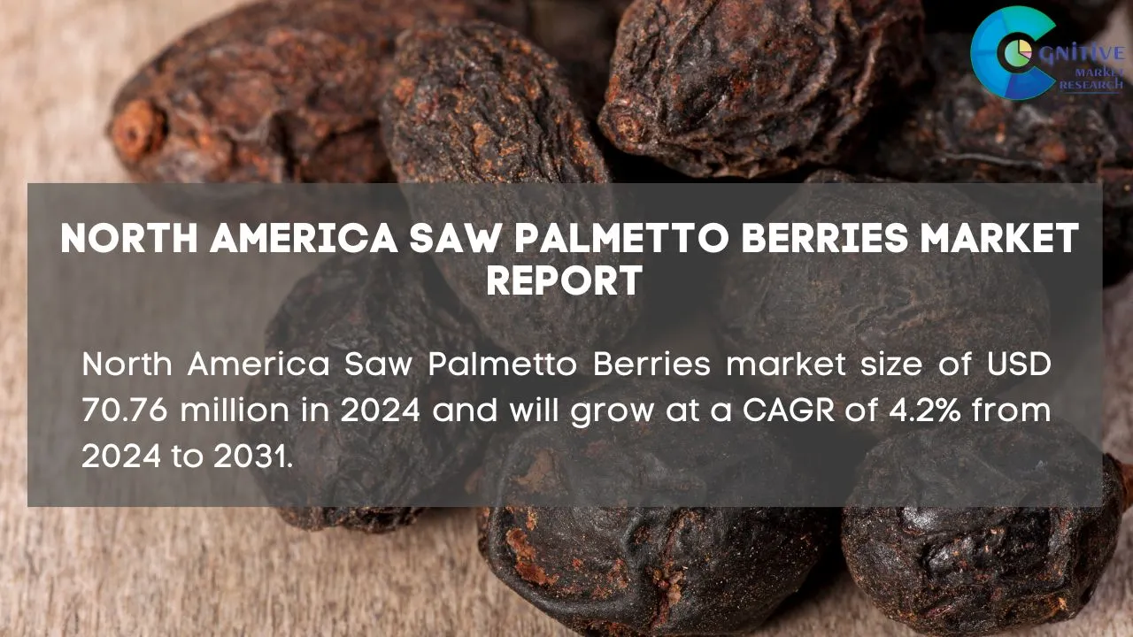 North America Saw Palmetto Berries Market Report