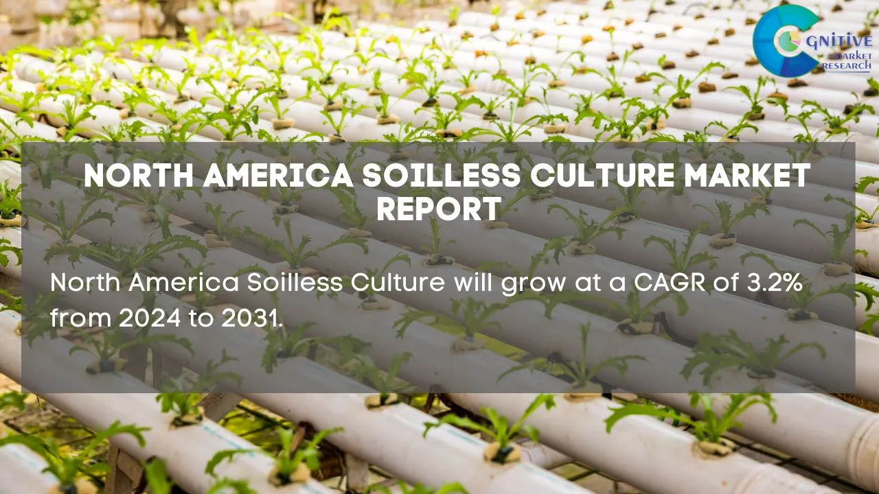 North America Soilless Culture Market Report