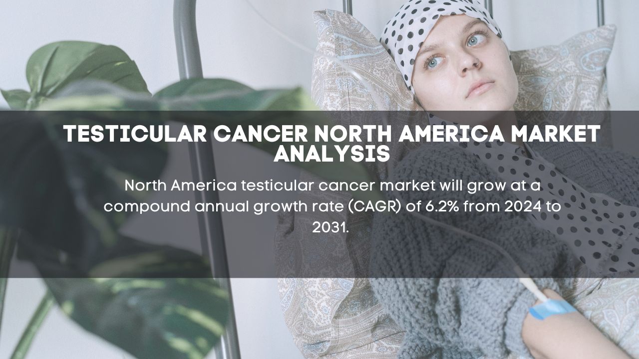 North America Testicular Cancer Market Report