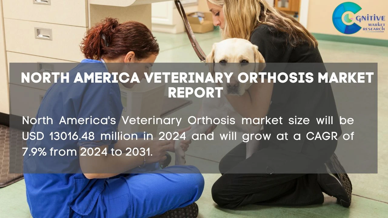 North America Veterinary Orthosis Market Report