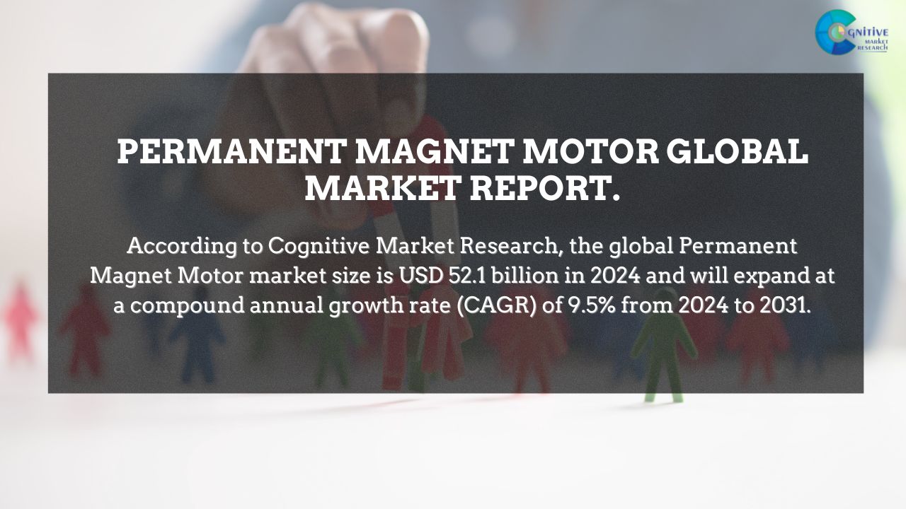 Permanent Magnet Motor Market Report