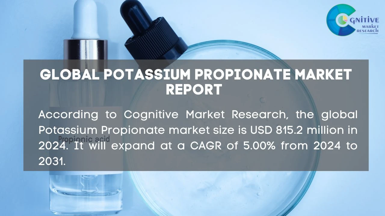 Potassium Propionate Market Report