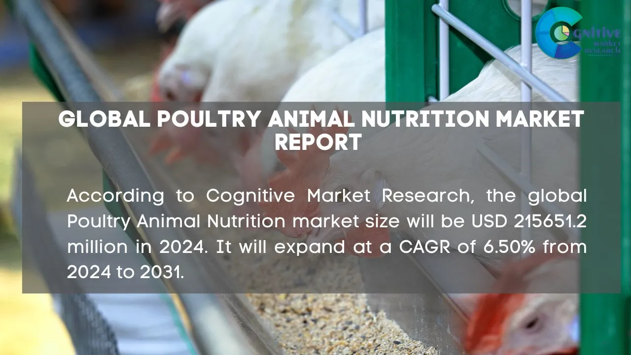 Poultry Animal Nutrition Market Report