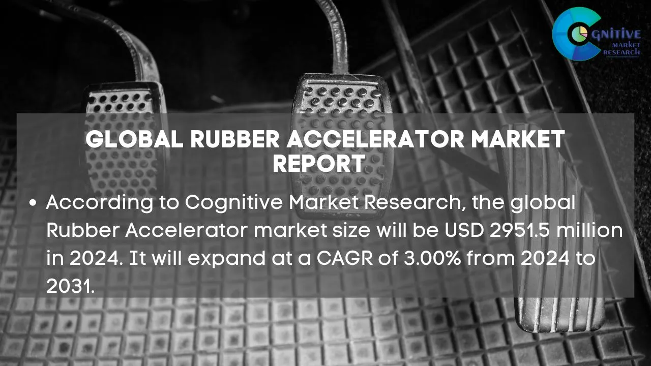 Rubber Accelerator Market Report