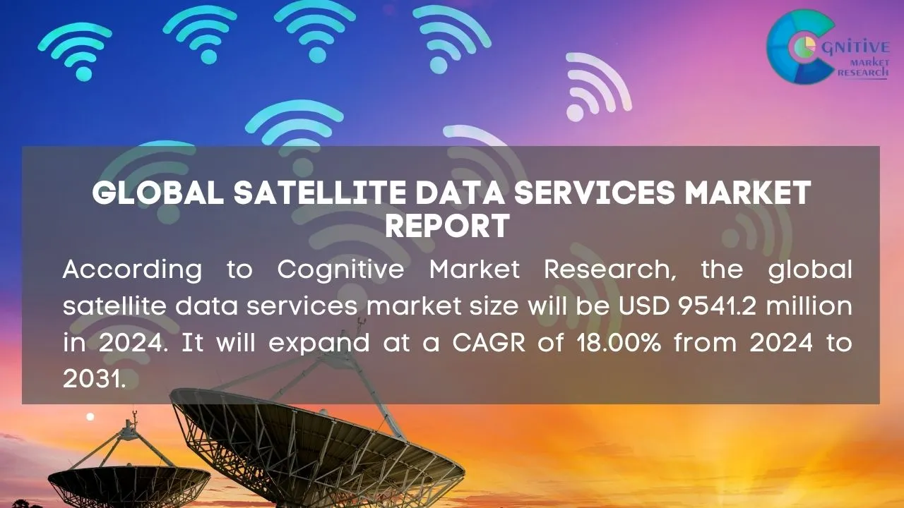 Satellite Data Services Market Report