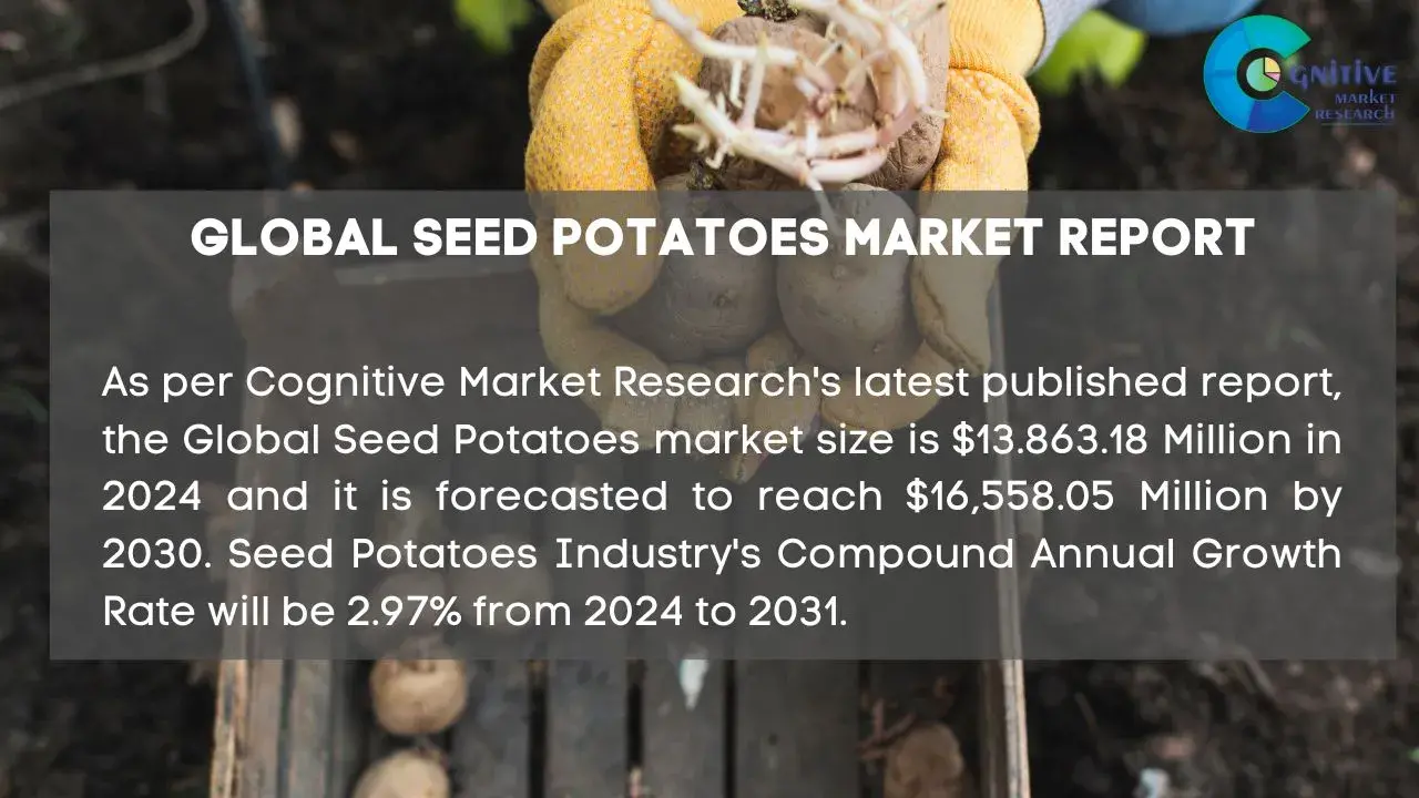 Seed Potatoes Market Report